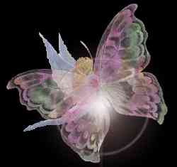 fairy3.jpg